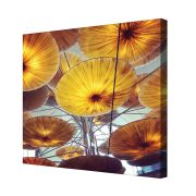 Olive TreeWooden Wall Art Canvas Painting for Home 24 x 24 inch Multicolour