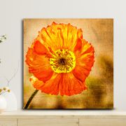 Olive TreeWooden Wall Art Canvas Painting for Home, Bedroom & Living Room|Engineered Wood Frame|Modern Stylish Hanging Wall Art Painting for Wall Decoration|24 x 24 inch Multicolour