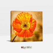 Olive TreeWooden Wall Art Canvas Painting for Home, Bedroom & Living Room|Engineered Wood Frame|Modern Stylish Hanging Wall Art Painting for Wall Decoration|24 x 24 inch Multicolour