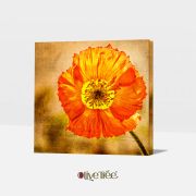 Olive TreeWooden Wall Art Canvas Painting for Home, Bedroom & Living Room|Engineered Wood Frame|Modern Stylish Hanging Wall Art Painting for Wall Decoration|24 x 24 inch Multicolour